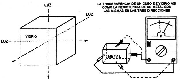 Figura 5
