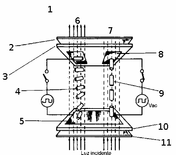 Figura 135 – Estructura de un display de cristal líquido   
