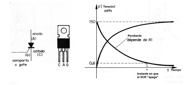 Figura 1 - Curva de carga y descarga de un capacitor
