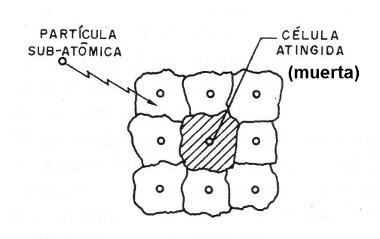 Figura 3 - Destrucción de las células
