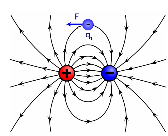  Figura 14 - Las cargas se mueven a lo largo de las líneas de fuerza del campo eléctrico
