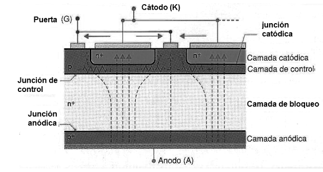 Figura 33 – Estructura GTO
