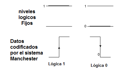    Figura 1 - Los niveles lógicos son dados por las transiciones
