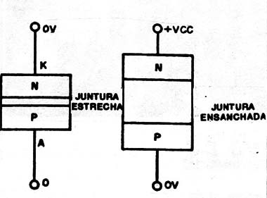 Figura 1
