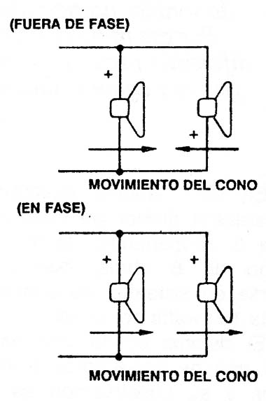 Figura 6
