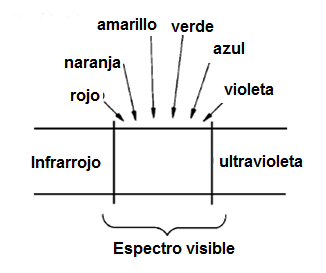 Figura 1
