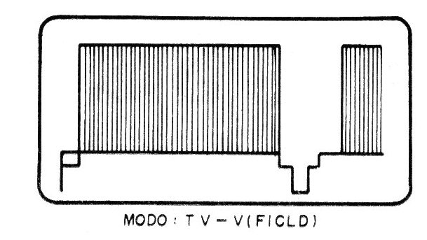Figura 2 - Señal correspondiente a un campo
Figura 2 - Señal correspondiente a un campo