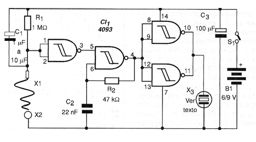 Figura 1 - Circuito del Nervio-Teste
