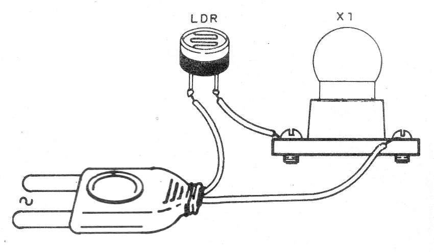 Figura 2 - Aspecto del montaje
Figura 2 - Aspecto del montaje